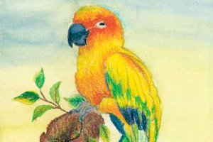 A Colorful Parrot in Oil Pastels